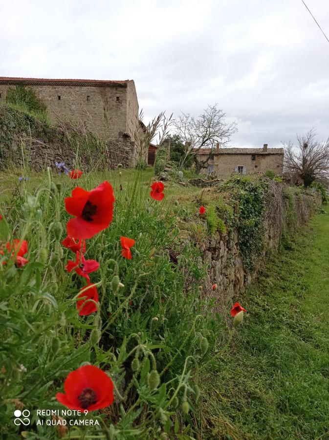 Ferme De Fenivou Villa Boulieu-les-Annonay Ngoại thất bức ảnh