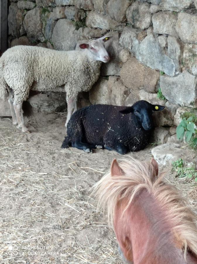 Ferme De Fenivou Villa Boulieu-les-Annonay Ngoại thất bức ảnh